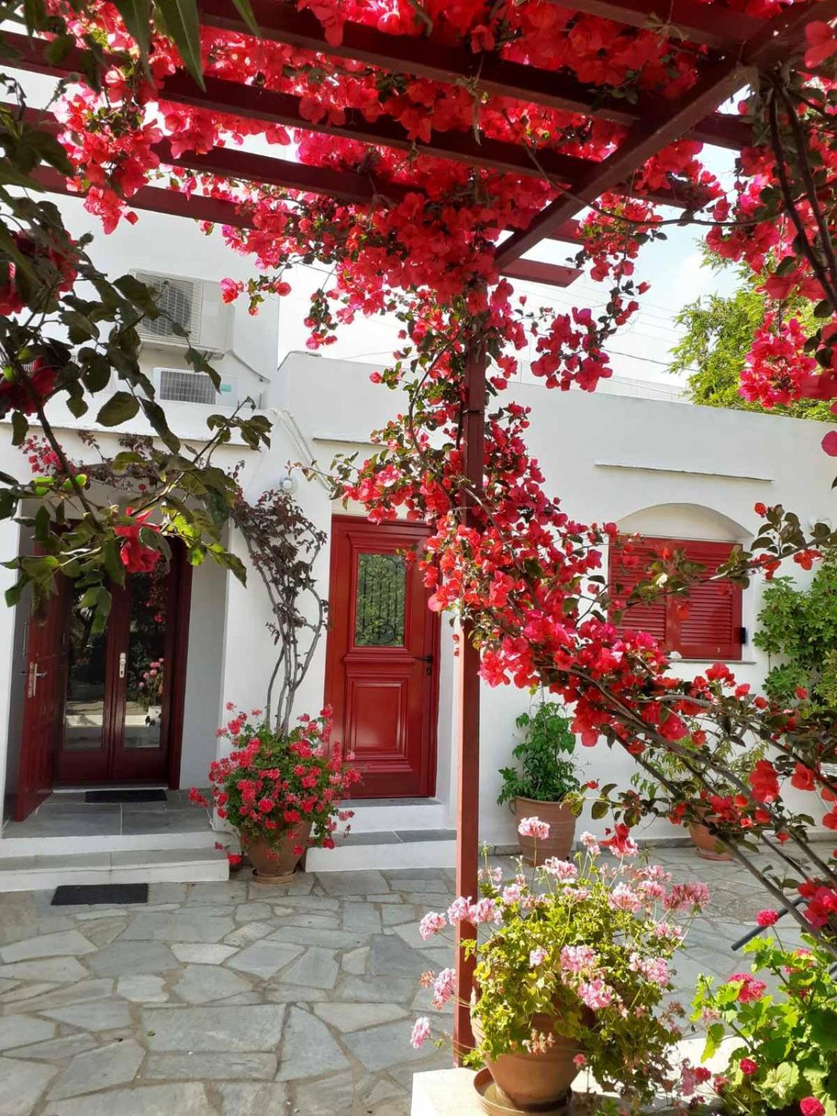 Apartamento Kipos Apollonía Exterior foto