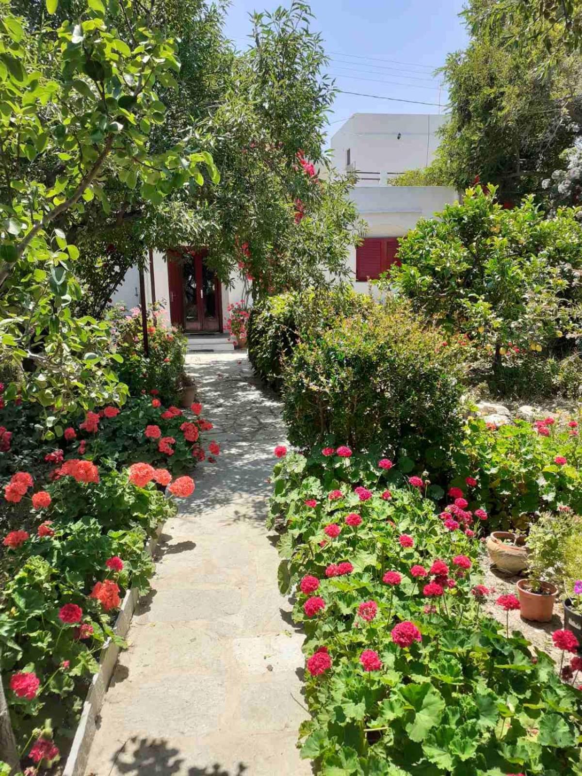 Apartamento Kipos Apollonía Exterior foto